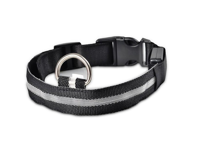 Night Safety Nylon LED Pet Collar