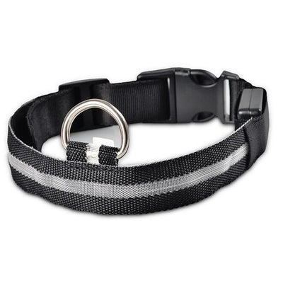 Night Safety Nylon LED Pet Collar
