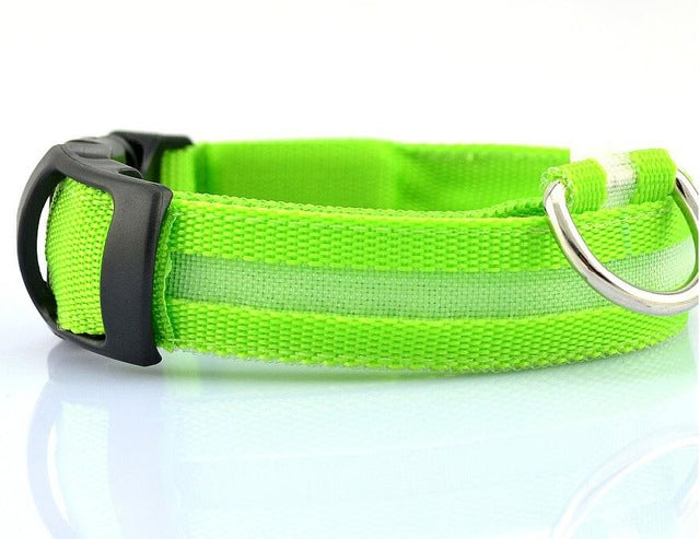 Night Safety Nylon LED Pet Collar