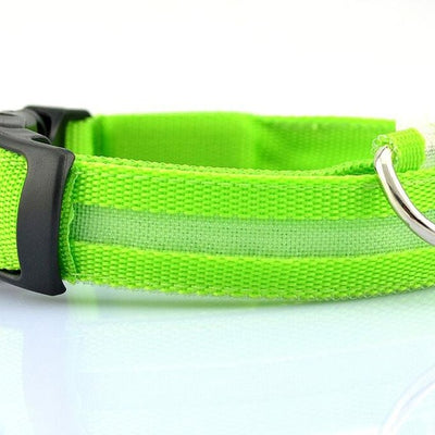 Night Safety Nylon LED Pet Collar
