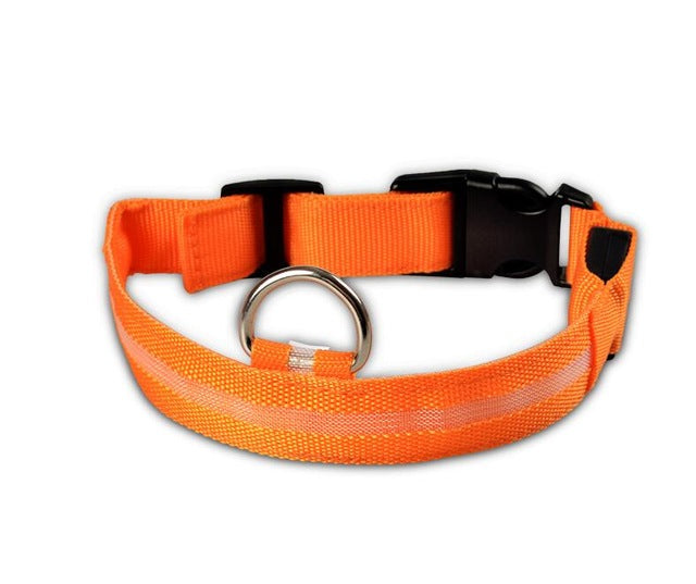 Night Safety Nylon LED Pet Collar