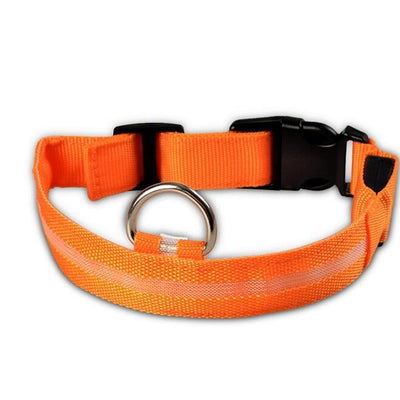 Night Safety Nylon LED Pet Collar