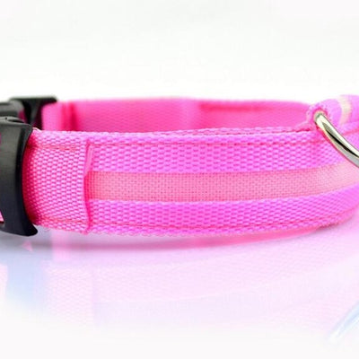 Night Safety Nylon LED Pet Collar