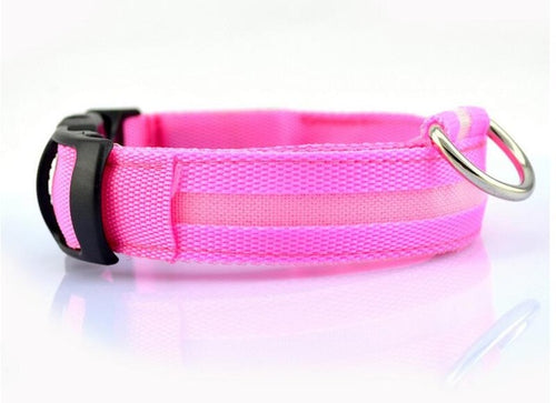 Night Safety Nylon LED Pet Collar
