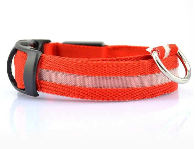 Night Safety Nylon LED Pet Collar