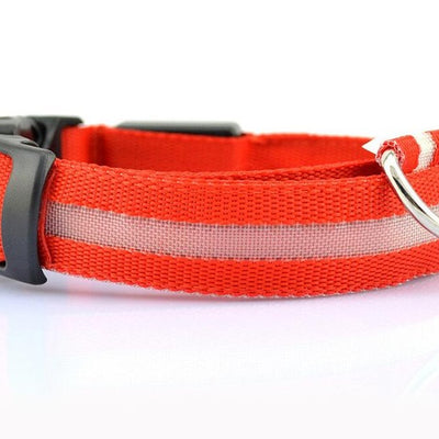 Night Safety Nylon LED Pet Collar