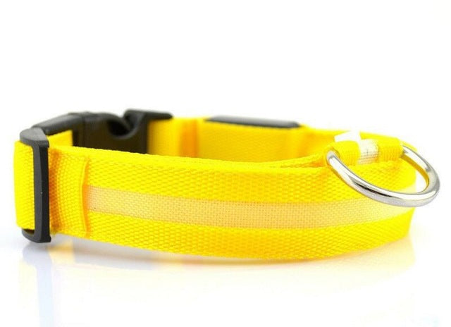 Night Safety Nylon LED Pet Collar
