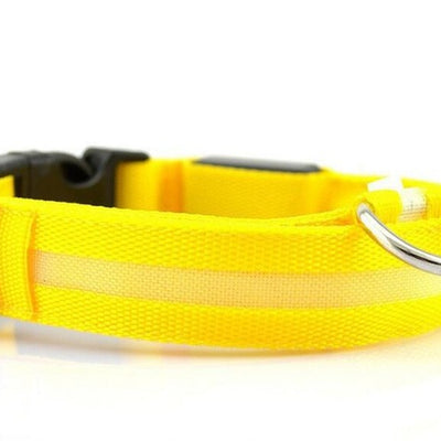 Night Safety Nylon LED Pet Collar
