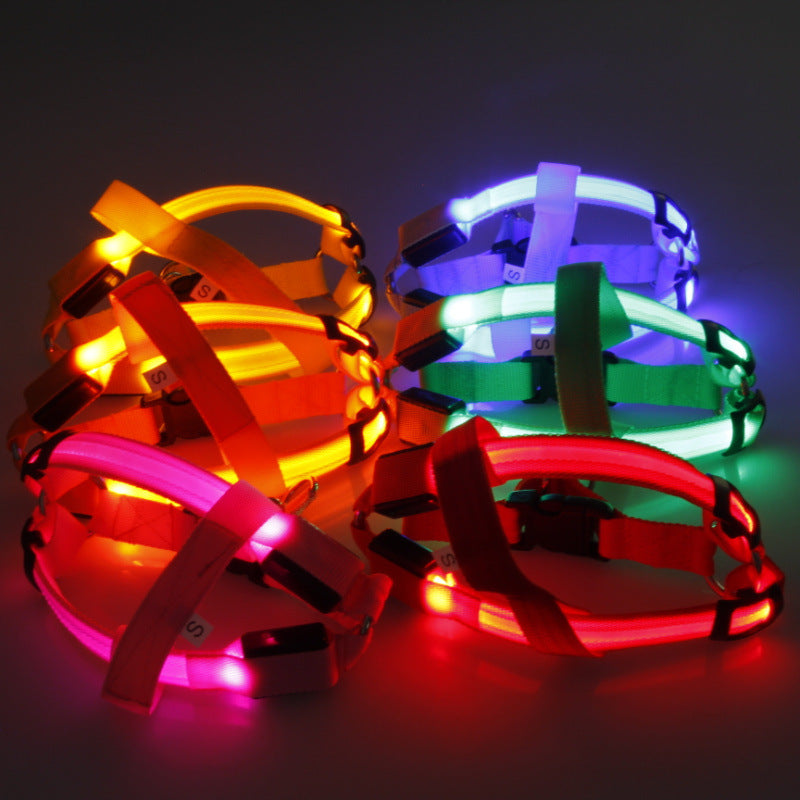 Cool Led Harness