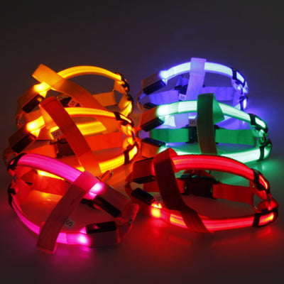 Cool Led Harness