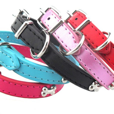 Bone Embedded Leather Collar
