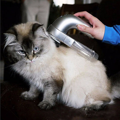 Electric Pet Fur Vacuum