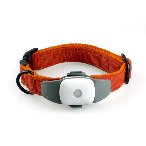 Pet Activity GPS Monitor Collar