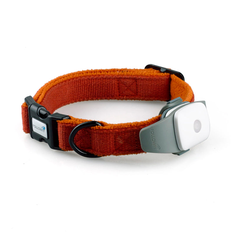 Pet Activity GPS Monitor Collar