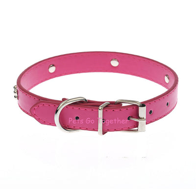 Bone Embedded Leather Collar