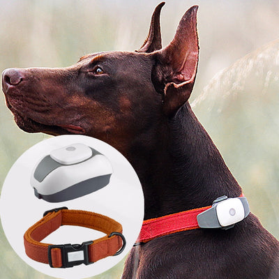 Pet Activity GPS Monitor Collar