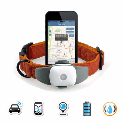 Pet Activity GPS Monitor Collar
