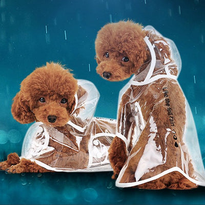 Pet Transparent Raincoat ( 3 Color Outline)