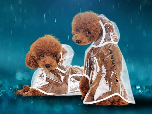 Pet Transparent Raincoat ( 3 Color Outline)