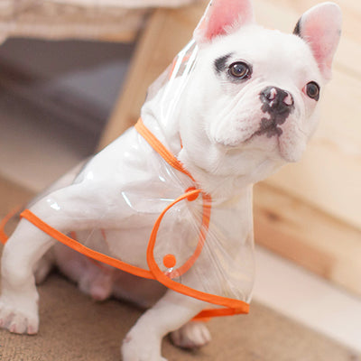 Pet Transparent Raincoat ( 3 Color Outline)
