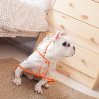 Pet Transparent Raincoat ( 3 Color Outline)