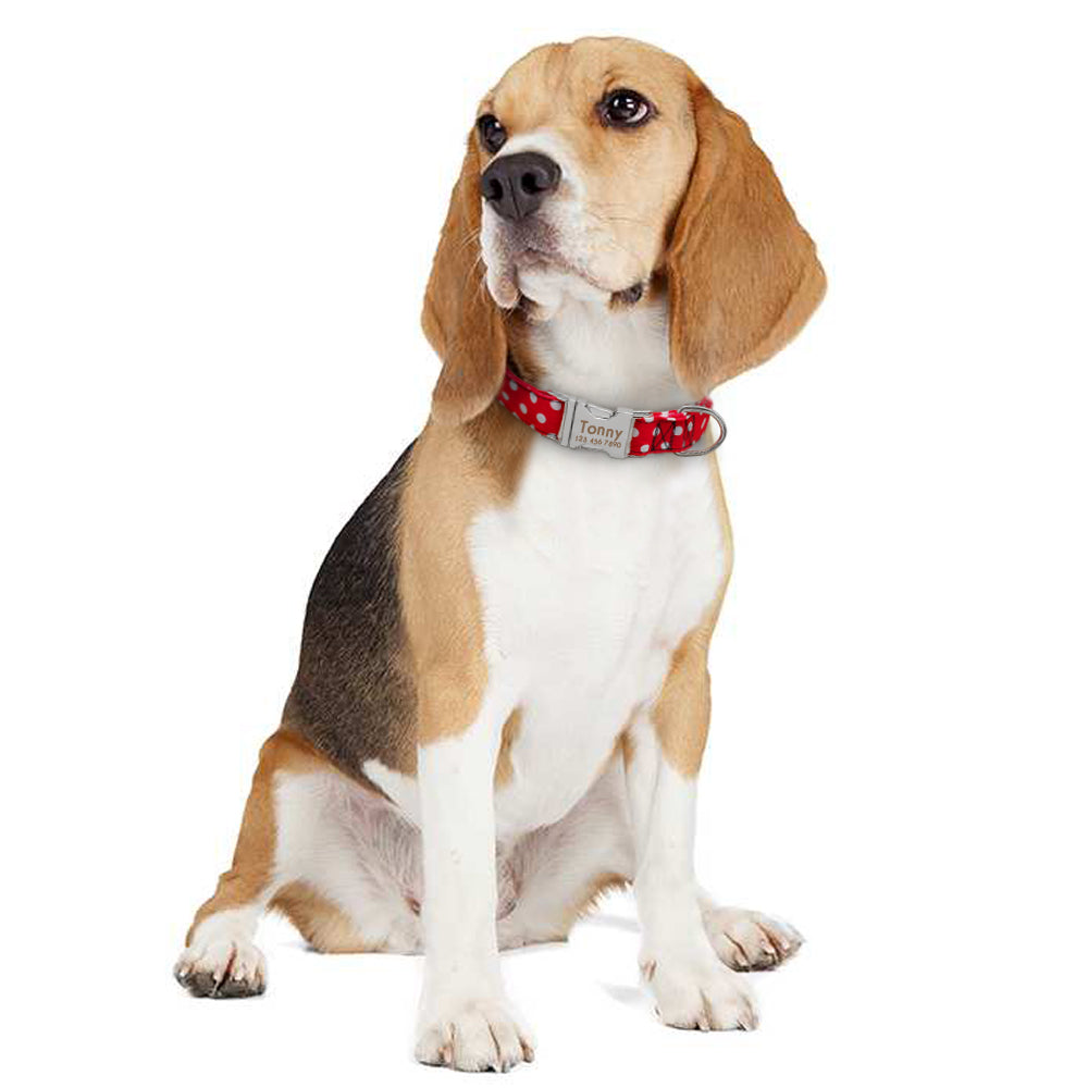 Custom Name - Polka Dotted Pet Collar