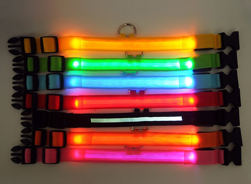 Night Safety Nylon LED Pet Collar