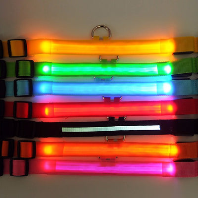 Night Safety Nylon LED Pet Collar